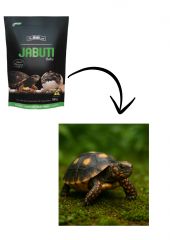 Alcon Club Alimento Jabuti 300 Gr - Alcon