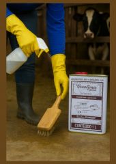 Creolina Desinfetante - INOVE