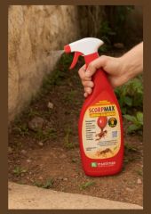 Scorpmax - Insetimax