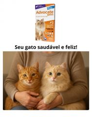 Antipulgas Advocate Gatos - Bayer