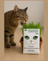 Graminha Gatos - Genial