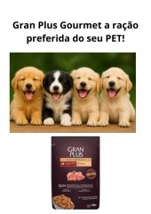 Sache Gran Plus Gourmet 100gr - Fenix - Guabi