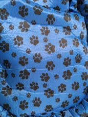 Caminha - Fashion Dog